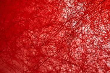 Frammenti di Biennale d'Arte 2015 Venezia