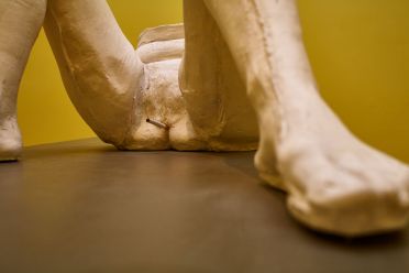 Frammenti di Biennale d'Arte 2015 Venezia