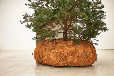 Frammenti di Biennale d'Arte 2015 Venezia