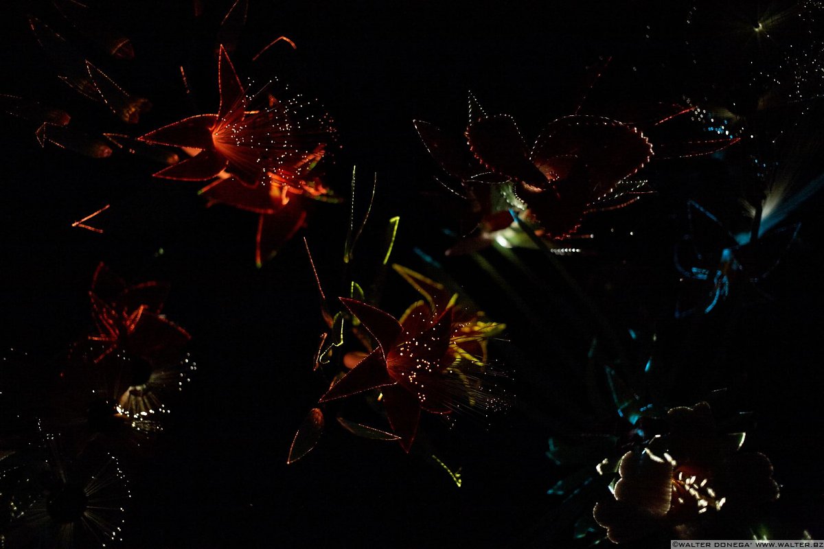 Frammenti di Biennale d'Arte 2015 Venezia