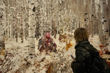 Frammenti di Biennale d'Arte 2015 Venezia