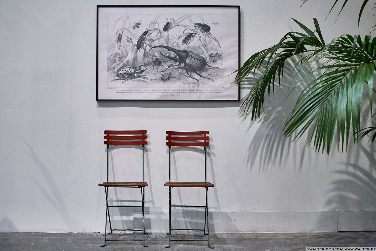 Frammenti di Biennale d'Arte 2015 Venezia