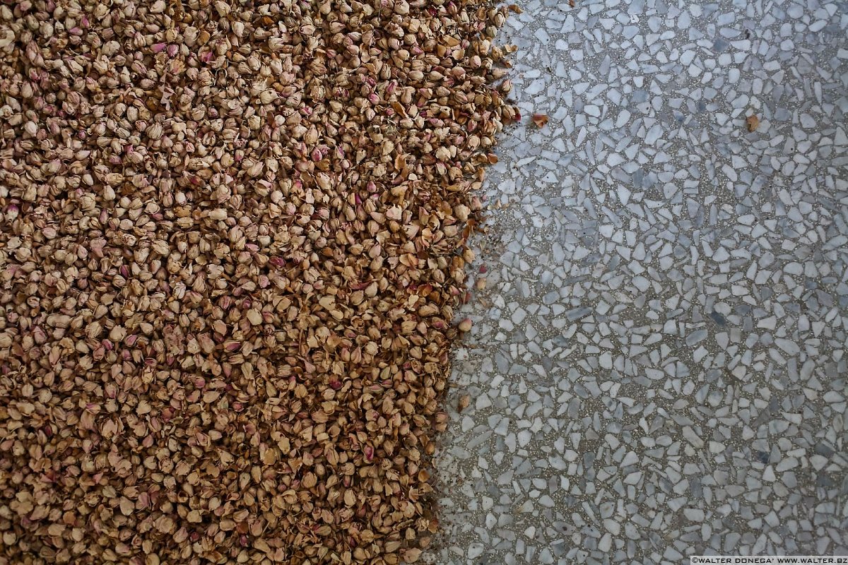 Frammenti di Biennale d'Arte 2015 Venezia