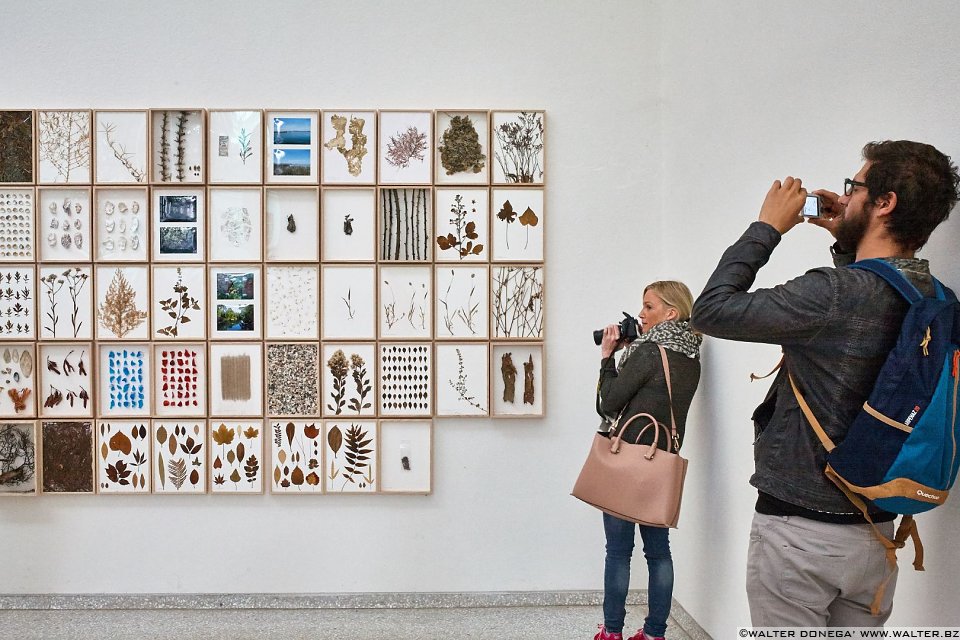  Frammenti di Biennale d'Arte 2015 Venezia