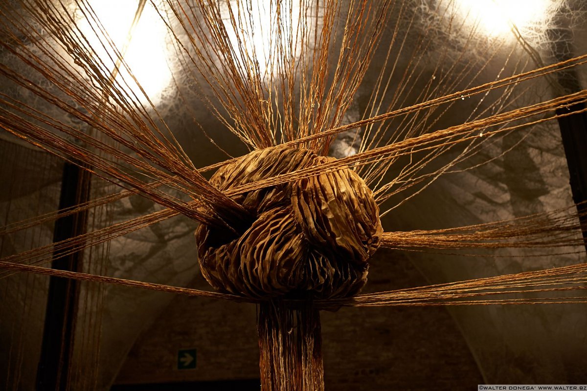 Frammenti di Biennale d'Arte 2015 Venezia