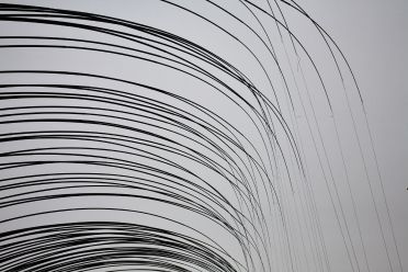 Frammenti di Biennale d'Arte 2015 Venezia