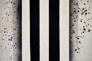 Biennale d'Arte Venezia 2017