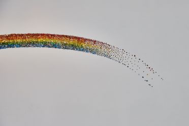 Biennale d'Arte Venezia 2017