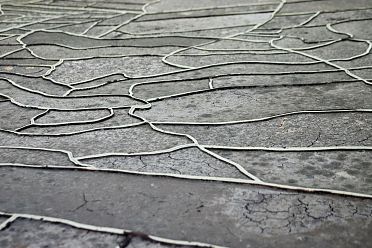 Biennale d'Arte Venezia 2017