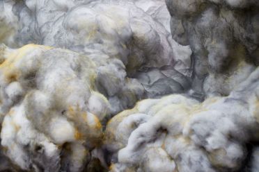 Biennale d'Arte Venezia 2017