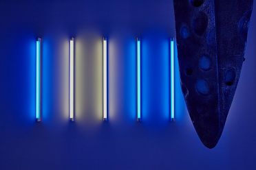 Biennale d'Arte Venezia 2017