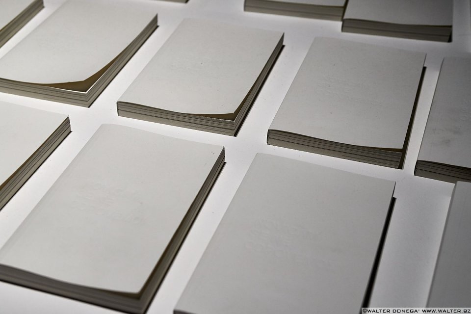  Biennale d'Arte Venezia 2017