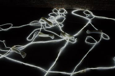 Biennale d'Arte Venezia 2017
