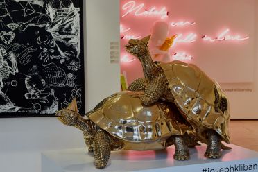 Biennale d'Arte Venezia 2017