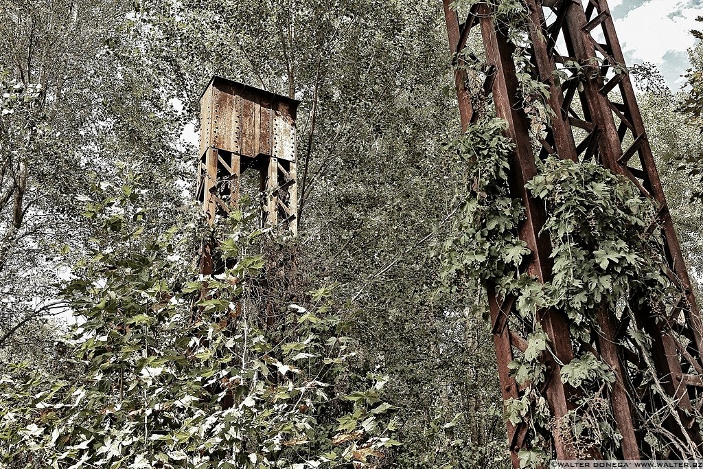 11 Il vecchio capannone abbandonato di Verona