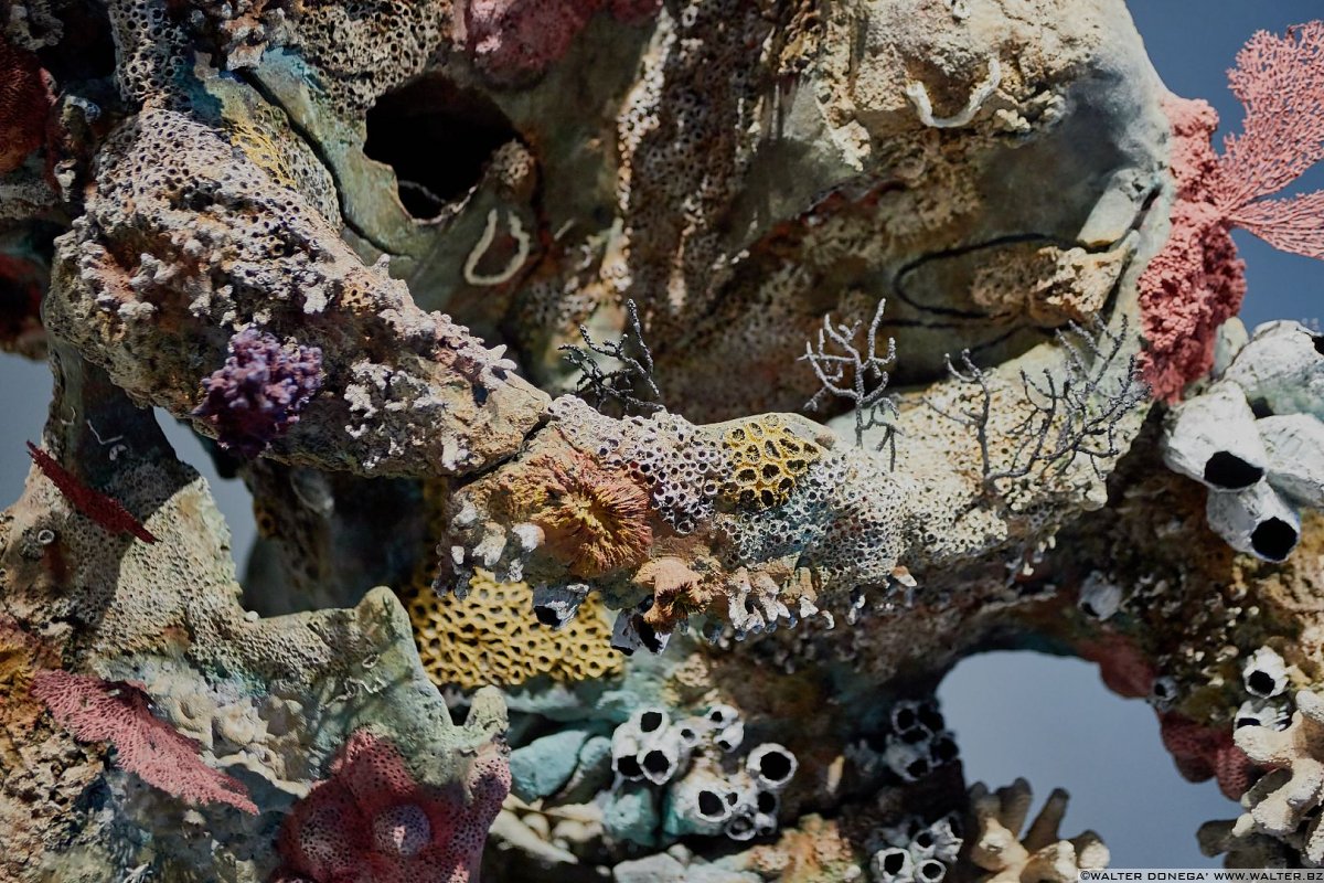  Damien Hirst in mostra a Venezia: Treasures from the wreck of the unbelievable