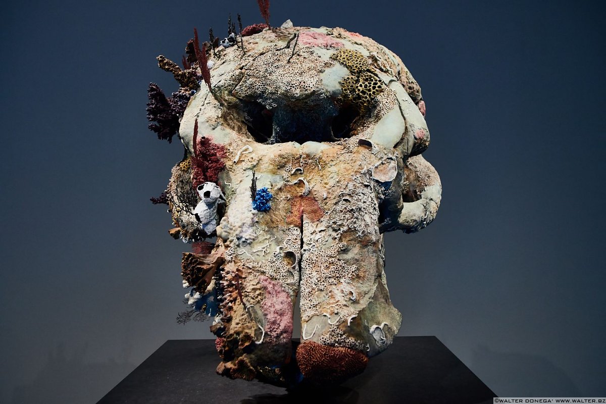  Damien Hirst in mostra a Venezia: Treasures from the wreck of the unbelievable