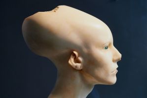 Damien Hirst in mostra a Venezia: Treasures from the wreck of the unbelievable