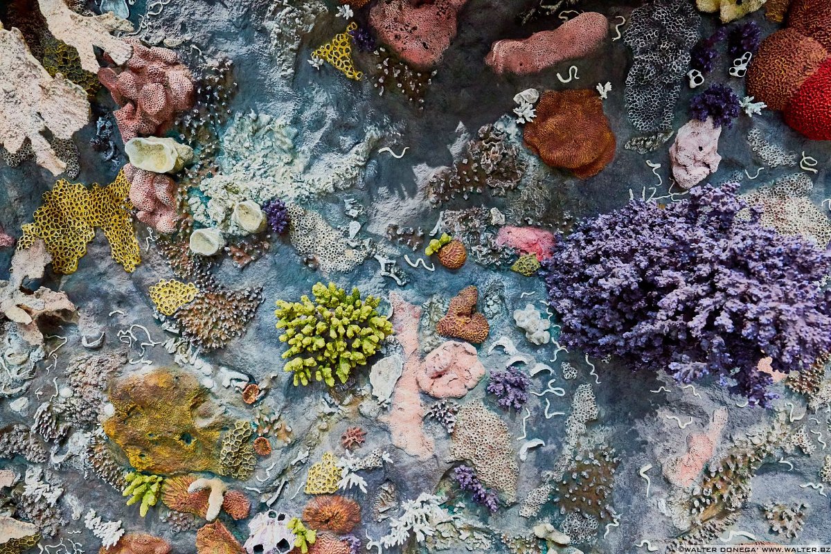  Damien Hirst in mostra a Venezia: Treasures from the wreck of the unbelievable