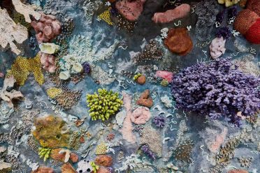 Damien Hirst in mostra a Venezia: Treasures from the wreck of the unbelievable