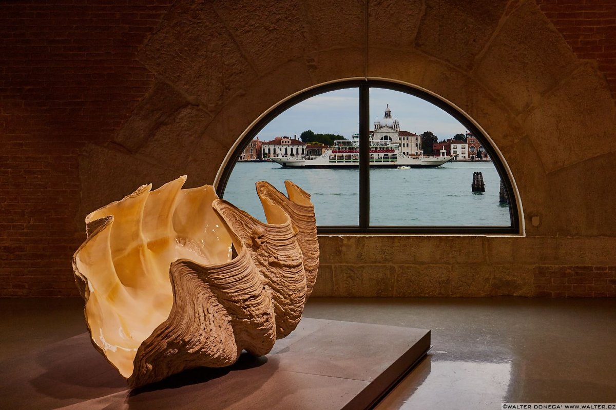  Damien Hirst in mostra a Venezia: Treasures from the wreck of the unbelievable