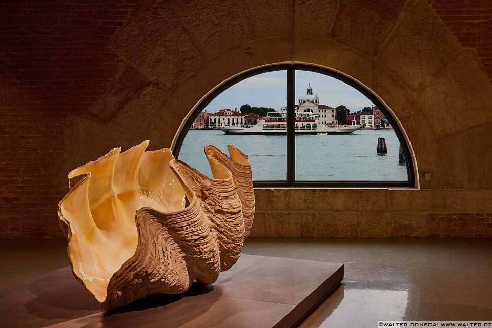  Damien Hirst in mostra a Venezia: Treasures from the wreck of the unbelievable