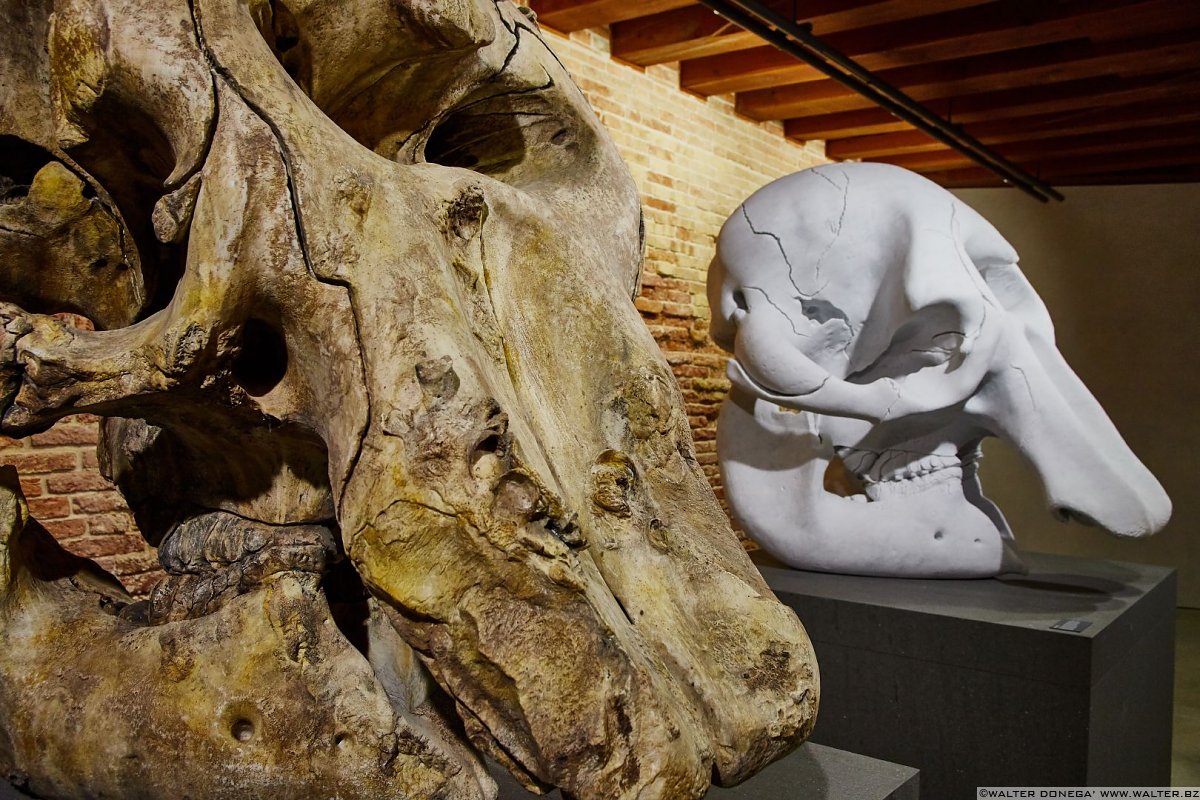  Damien Hirst in mostra a Venezia: Treasures from the wreck of the unbelievable