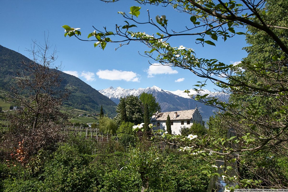  Il giardino labirinto Kränzelhof di Cermes