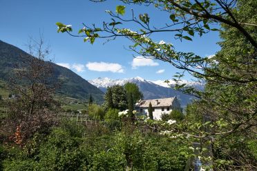 Il giardino labirinto Kränzelhof di Cermes