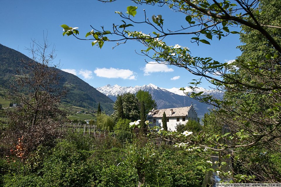 Il giardino labirinto Kränzelhof di Cermes