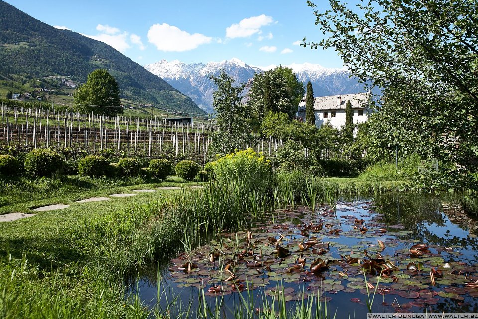 Il giardino labirinto Kränzelhof di Cermes