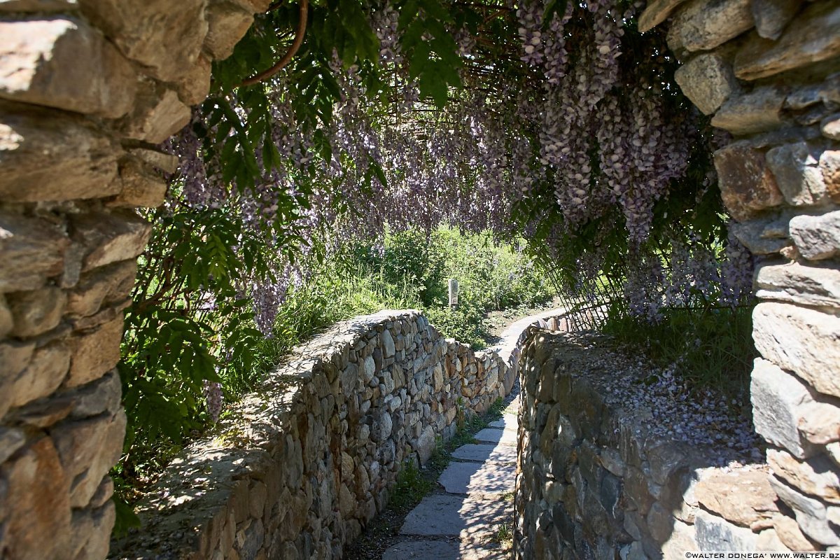  Il giardino labirinto Kränzelhof di Cermes