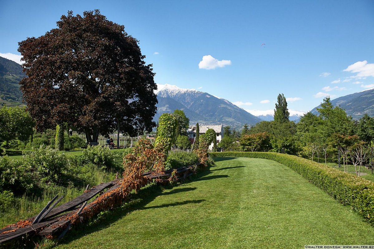  Il giardino labirinto Kränzelhof di Cermes