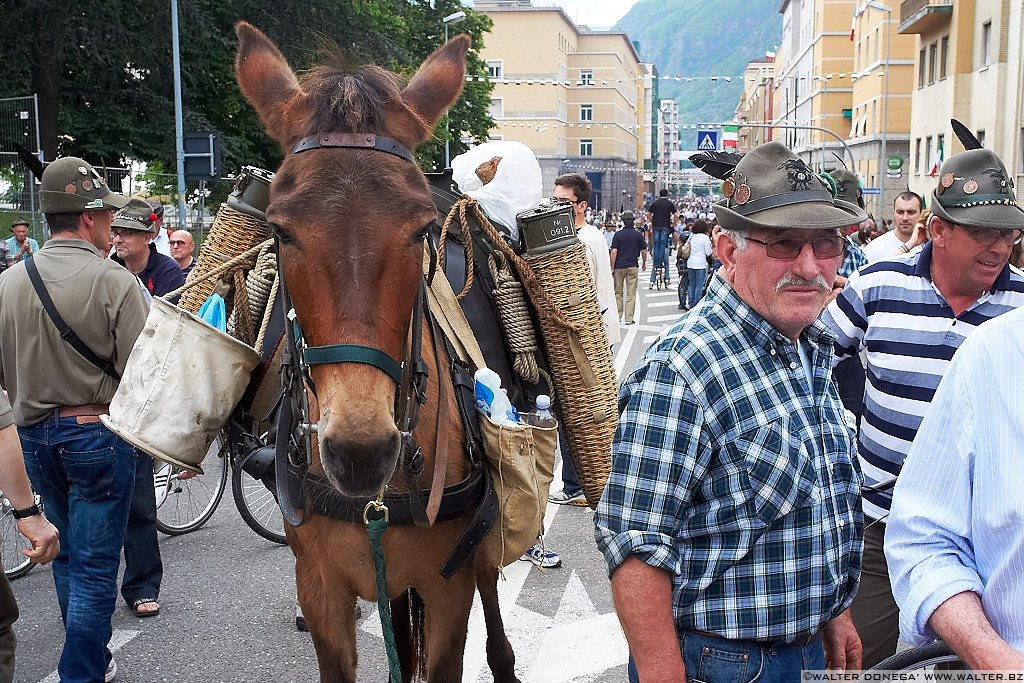 DSCF6158 Adunata degli Alpini a Bolzano 2012