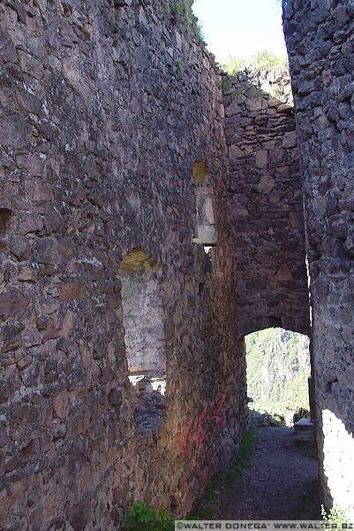 dsc03007 Castel Greifenstein o Sauschloss, Castel del Porco