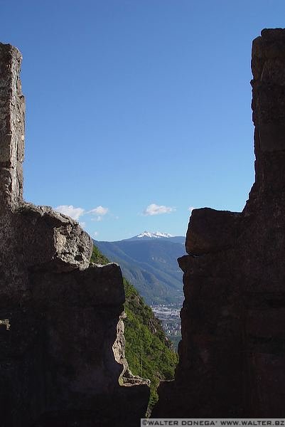 dsc03016 Castel Greifenstein o Sauschloss, Castel del Porco