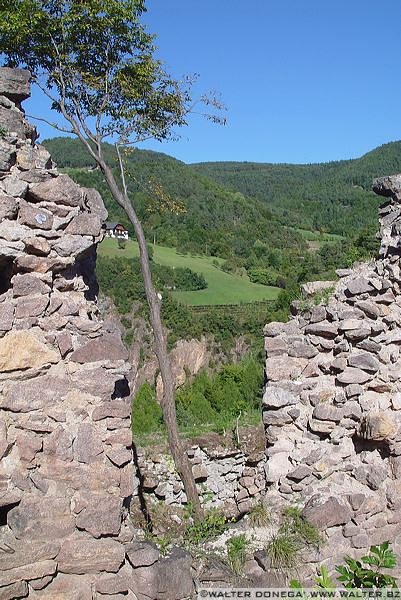 dsc03020 Castel Greifenstein o Sauschloss, Castel del Porco