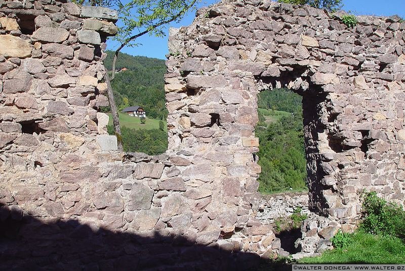 dsc03022 Castel Greifenstein o Sauschloss, Castel del Porco