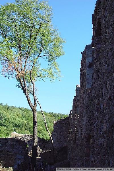 dsc03023 Castel Greifenstein o Sauschloss, Castel del Porco