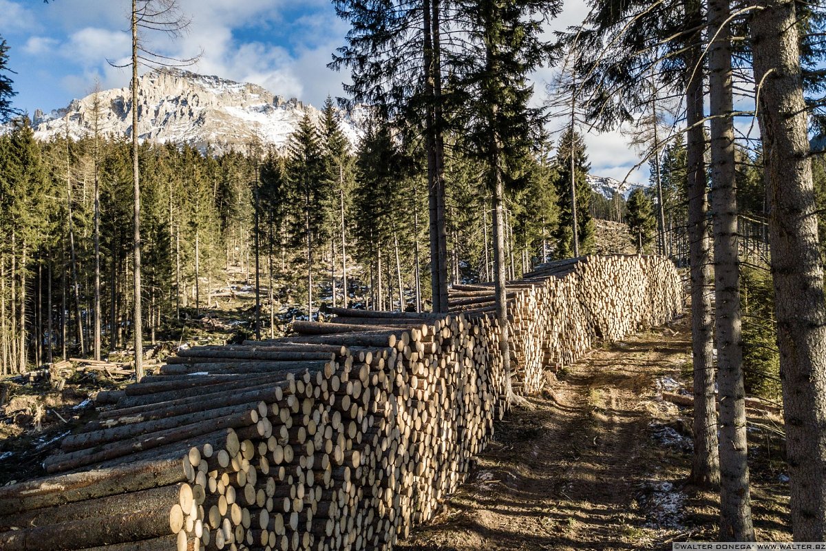 Escursione a Obereggen, Passo Lavazè, Malga Ora