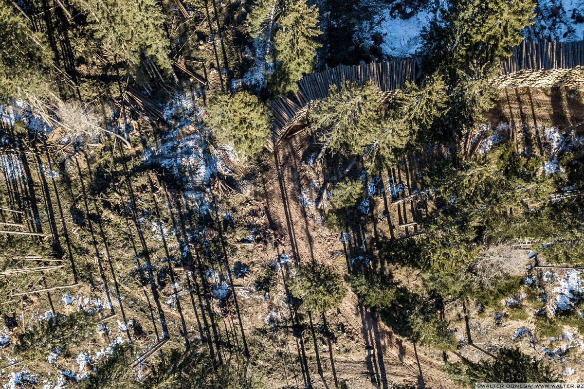 Escursione a Obereggen, Passo Lavazè, Malga Ora