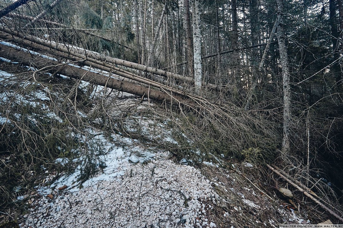 Escursione a Obereggen, Passo Lavazè, Malga Ora