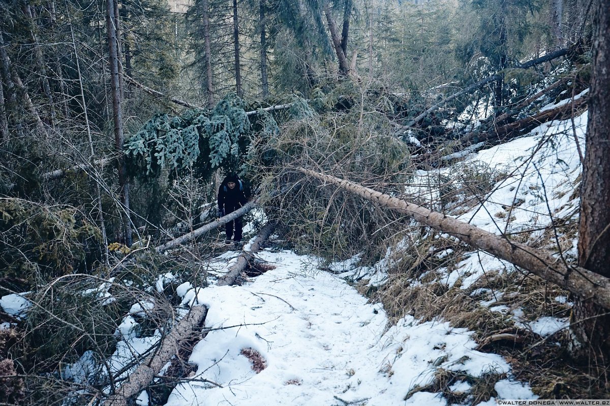 Escursione a Obereggen, Passo Lavazè, Malga Ora