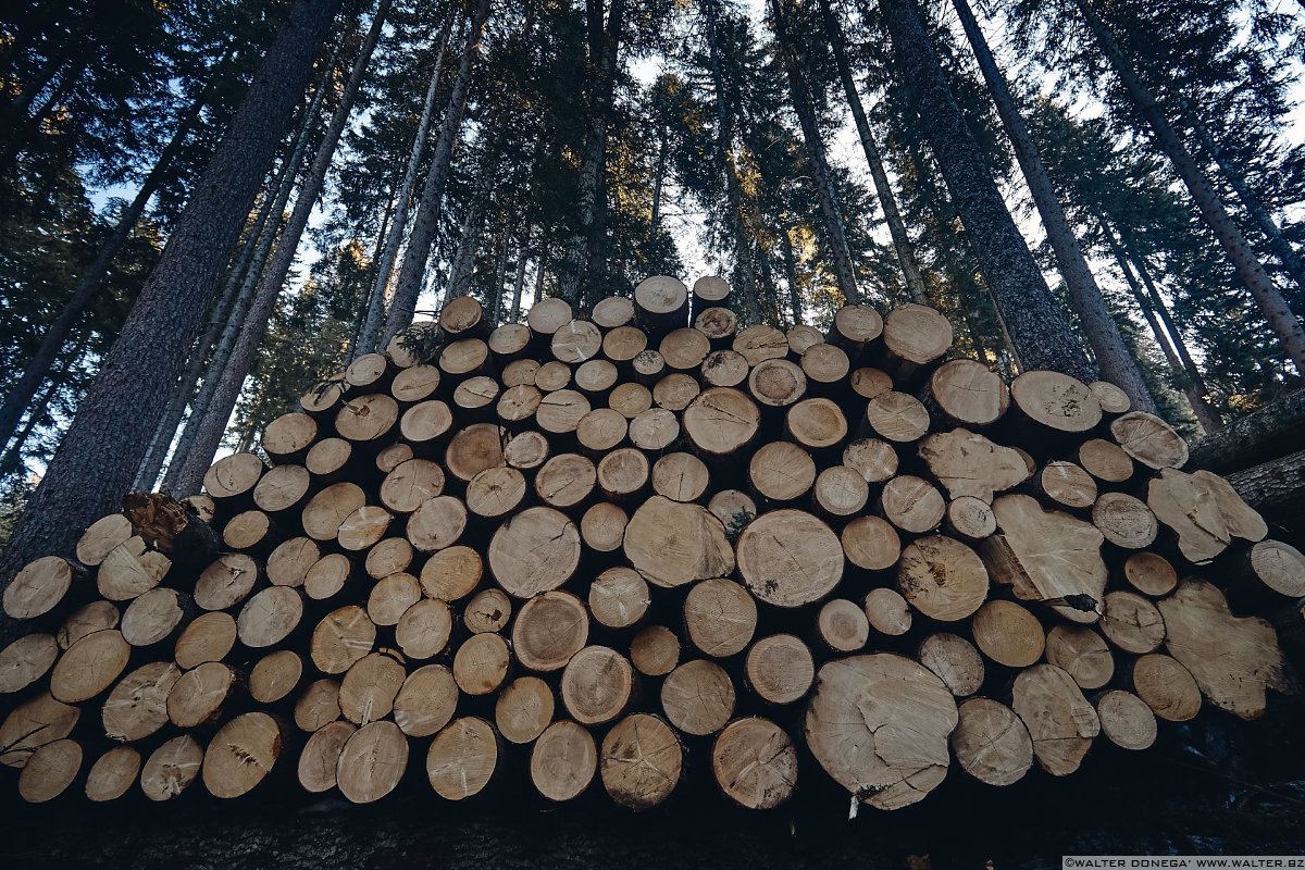 Escursione a Obereggen, Passo Lavazè, Malga Ora