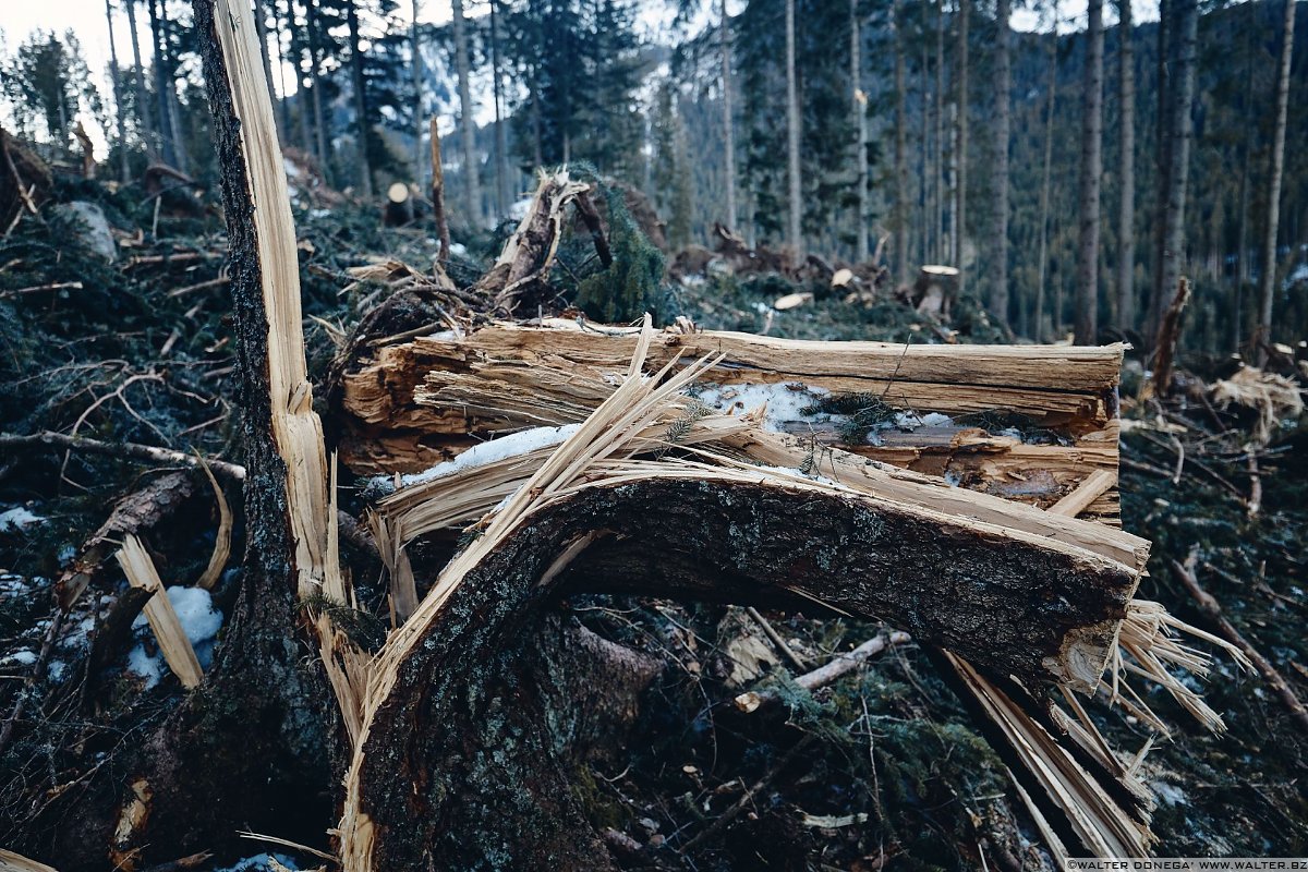 Escursione a Obereggen, Passo Lavazè, Malga Ora