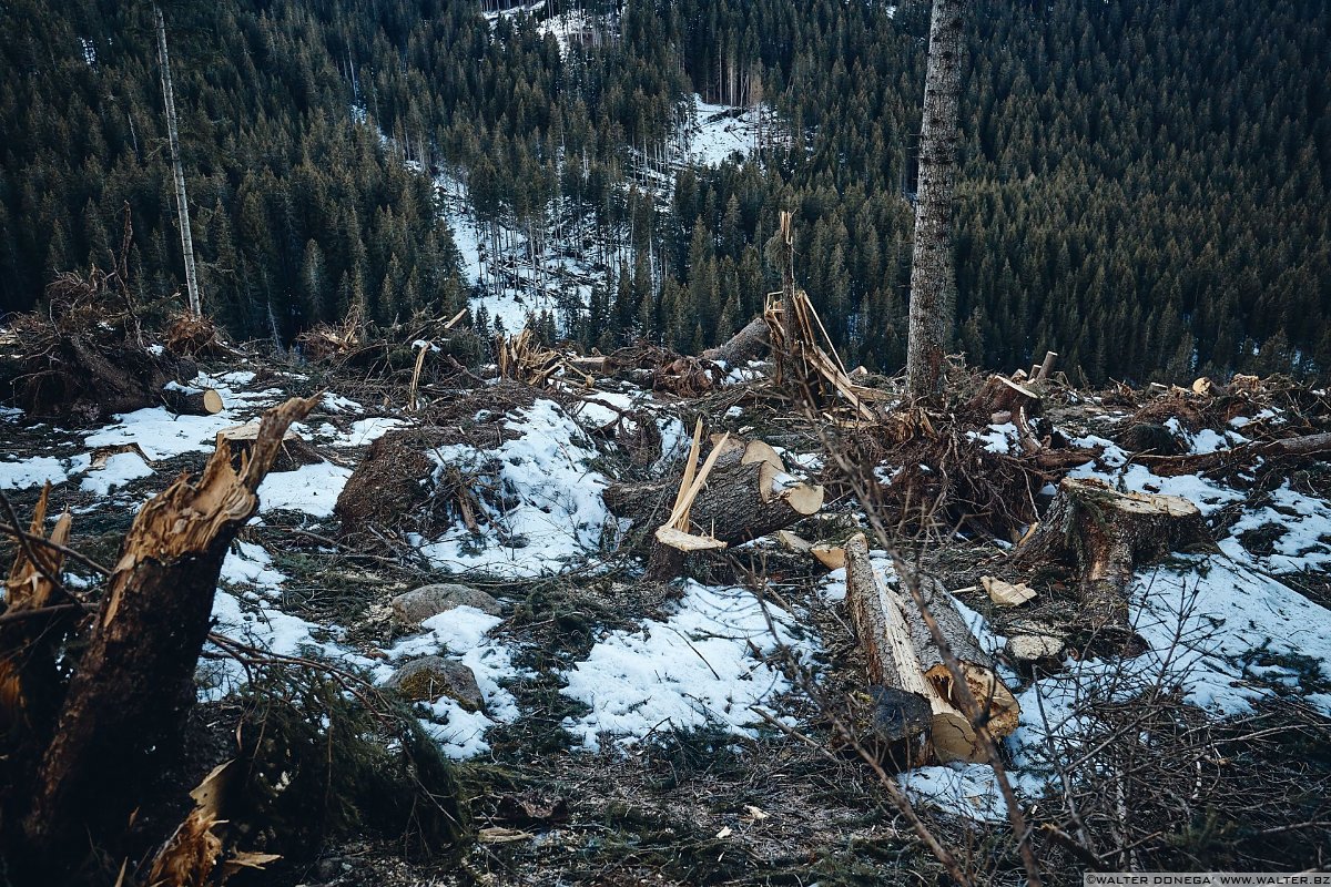 Escursione a Obereggen, Passo Lavazè, Malga Ora