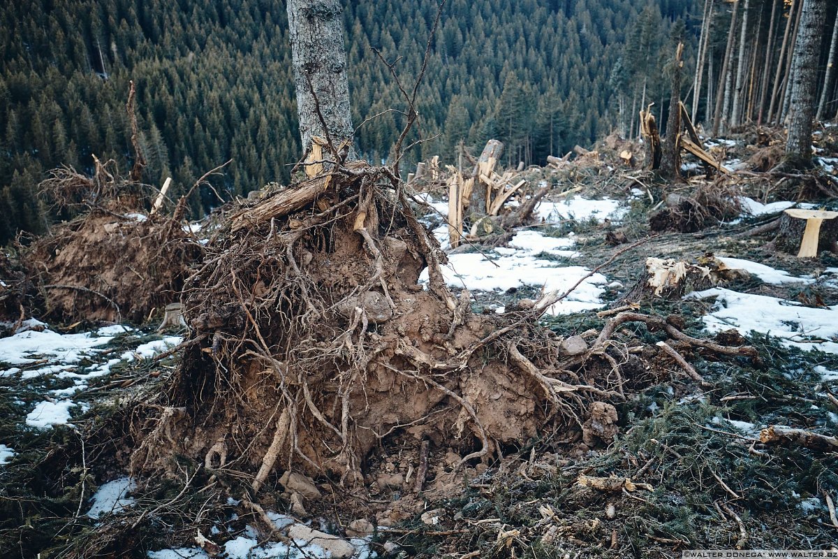 Escursione a Obereggen, Passo Lavazè, Malga Ora