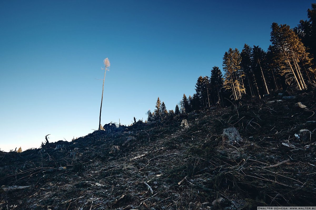 Escursione a Obereggen, Passo Lavazè, Malga Ora