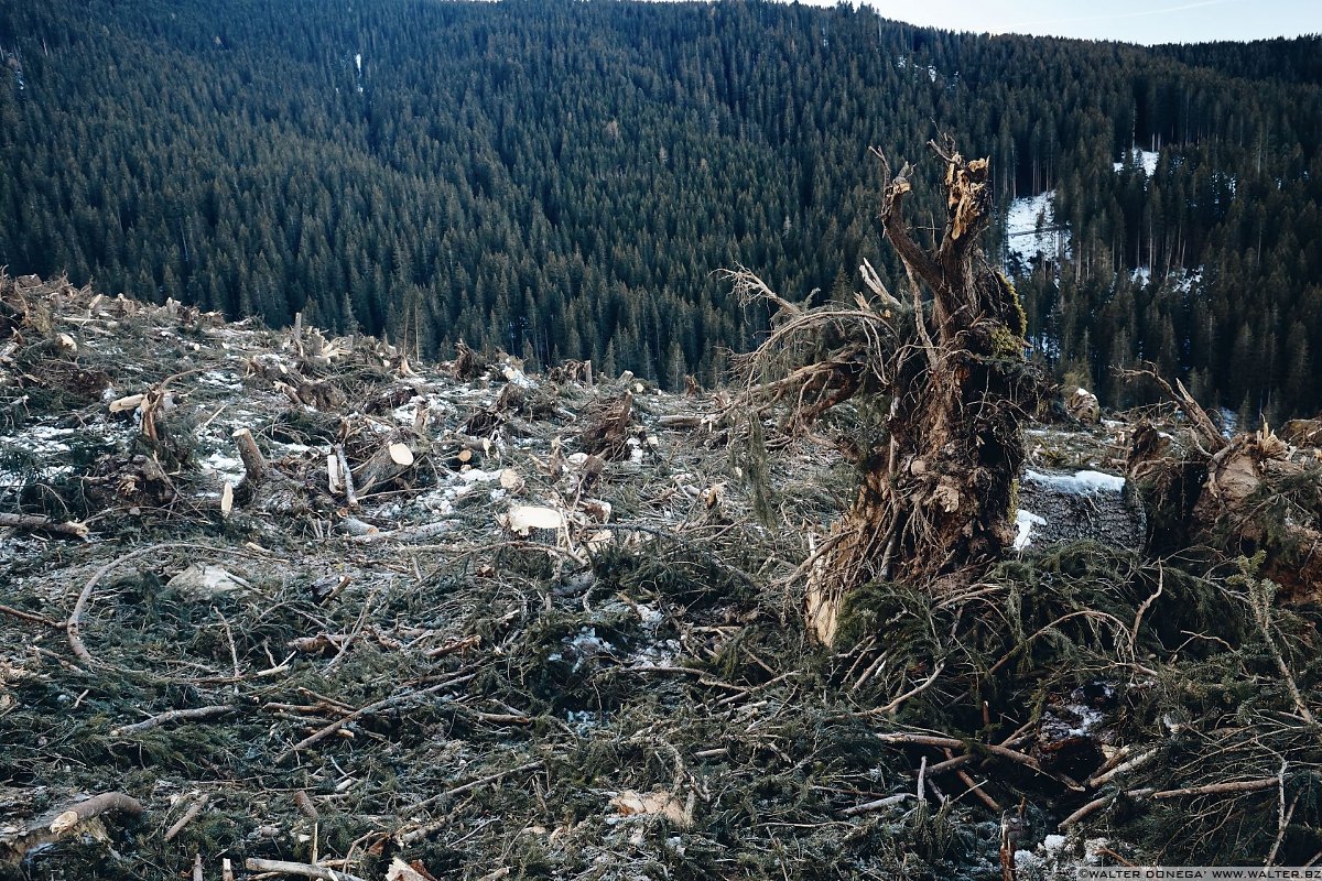 Escursione a Obereggen, Passo Lavazè, Malga Ora