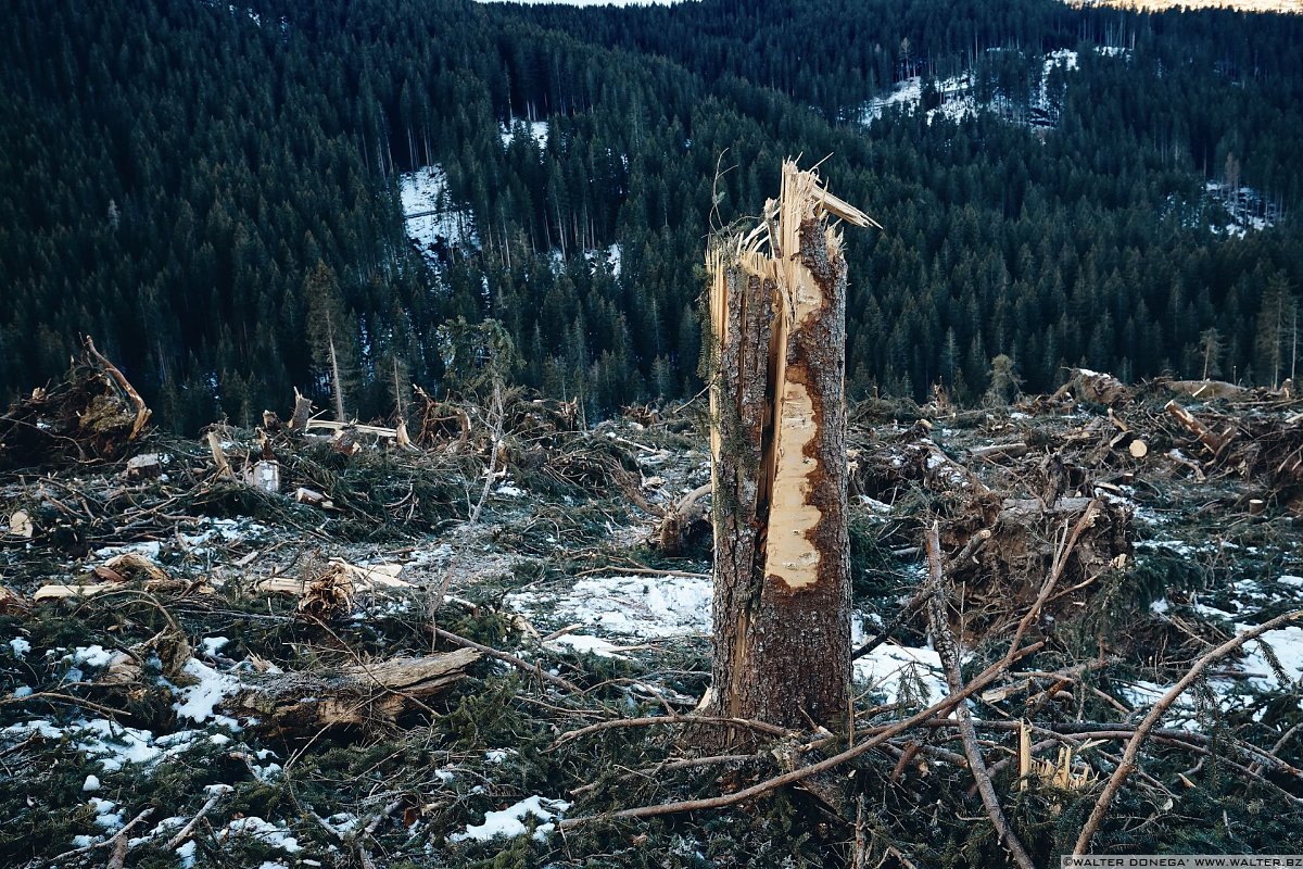 Escursione a Obereggen, Passo Lavazè, Malga Ora